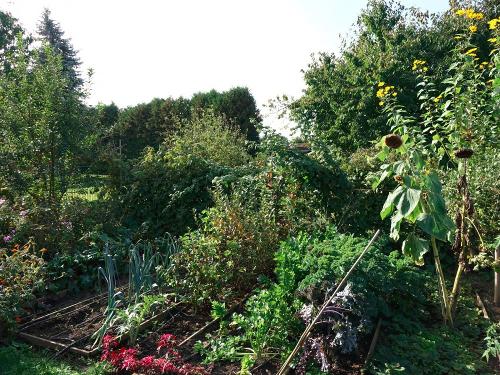 Bauerngarten
