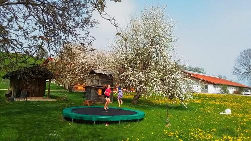 Trampolin Spaß