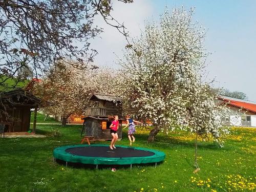 Trampolin Spaß