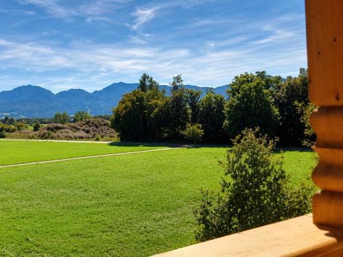 Aussicht vom Balkon