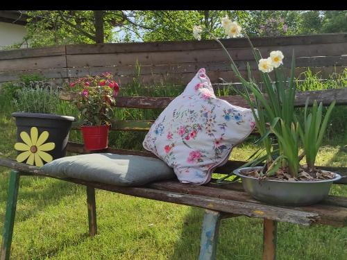 garten-impressionen