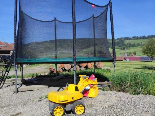 trampolinmitsandhaufen