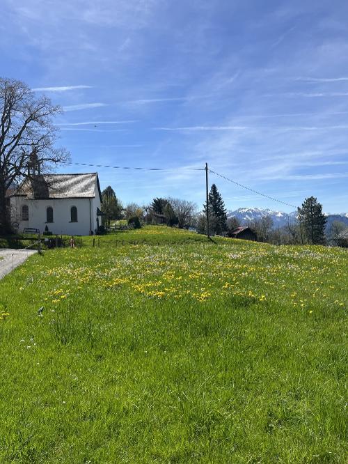 Maiblick ins Dorf