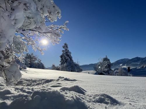 Wintersonne