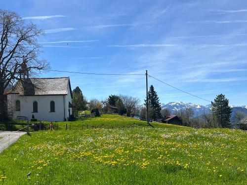 Maiblick ins Dorf Maiblick ins Dorf
