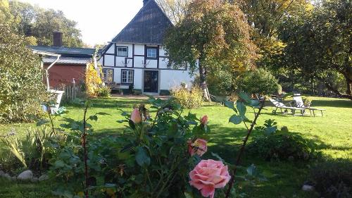 Großer Garten mit Sitzmöglichkeit