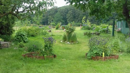 Der großzügige Garten