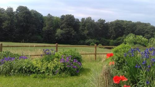 An den Pferdeweiden die Blumen