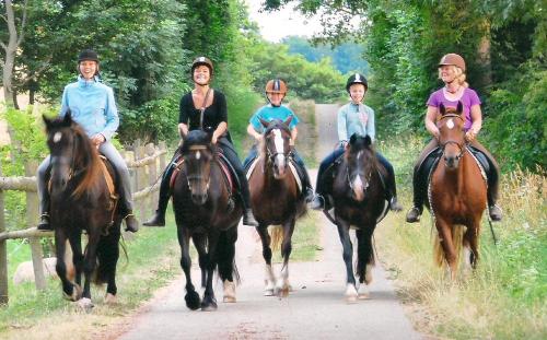 Reiten im Urlaub!