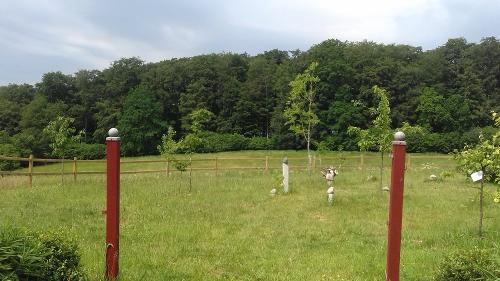Waldblick