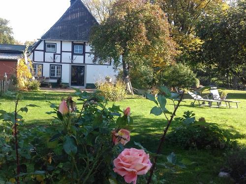 Großer Garten mit Sitzmöglichkeit