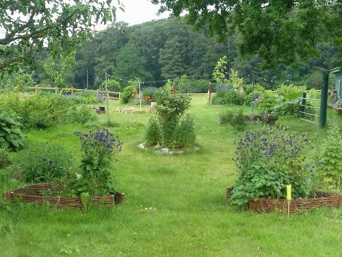 Der großzügige Garten