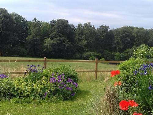 An den Pferdeweiden die Blumen