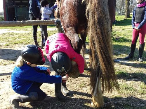 Hier lernt man auch das Putzen und Pflegen!