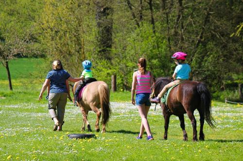 ponyreiten2