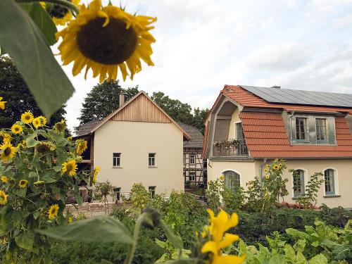Garten auf dem Ferienhof NaturZeit