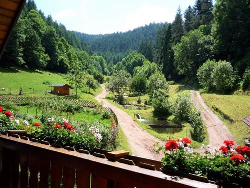 Eulersbacher Hof - Blick