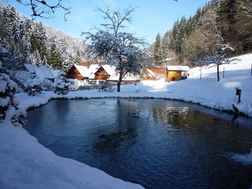 Eulersbacher Hof im Winter