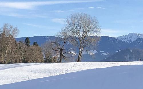 winterpanorama
