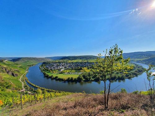 Pünderich an der Mosel