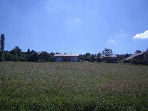 Blick über die Blumenwiese auf unser Waidlahaus