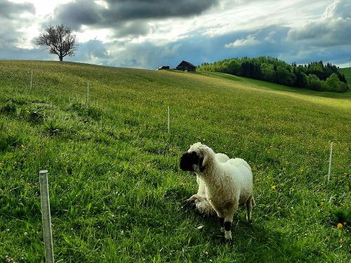 Unsere Nachbarn