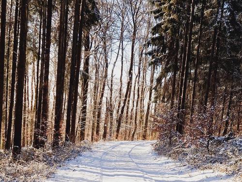 20240120_143148 20240120_143148