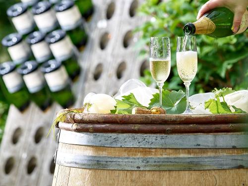 Sektgenuss im Weingut Kruft-Willems an der Mosel