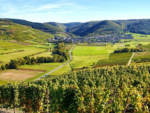 Blick auf Veldenz im Seitental der Mosel