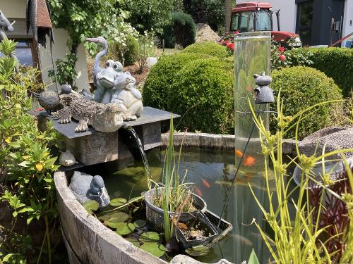 unser kleiner Teich
