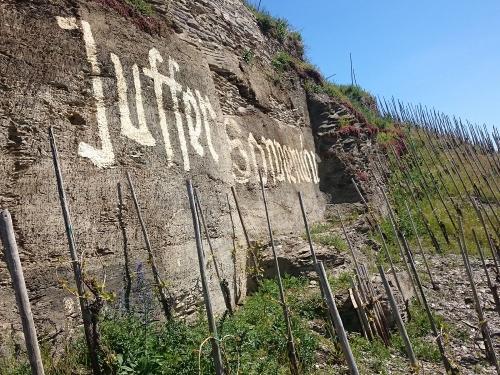 riesling-steillagebraunebergjuffer-sonnenuhr