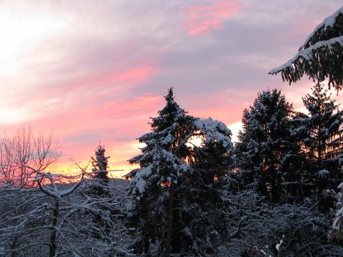 winter01