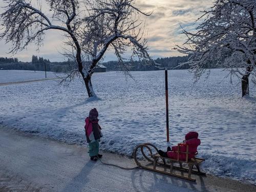 Schlittenfahren bei Schnee...