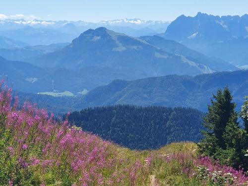 Hochgern