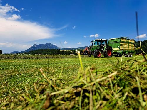 Heuernte mit Blick auf den Grünten