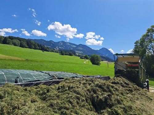Füllen des Fahrsilos