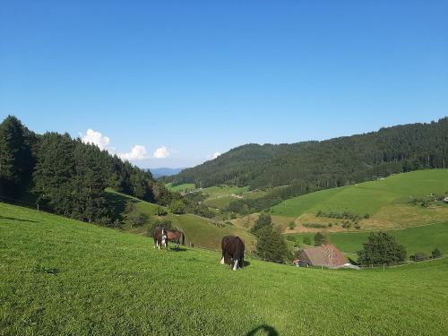 bechererhof_lage