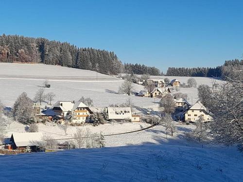 dischhof_winter
