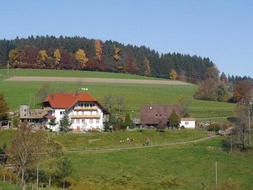 dischhof_hofgebude