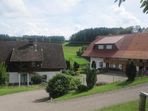 dischhof_hof dischhof_hof