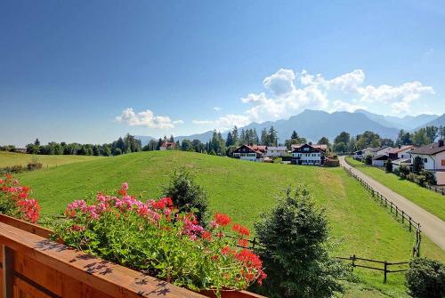 aussichtvombalkon448129