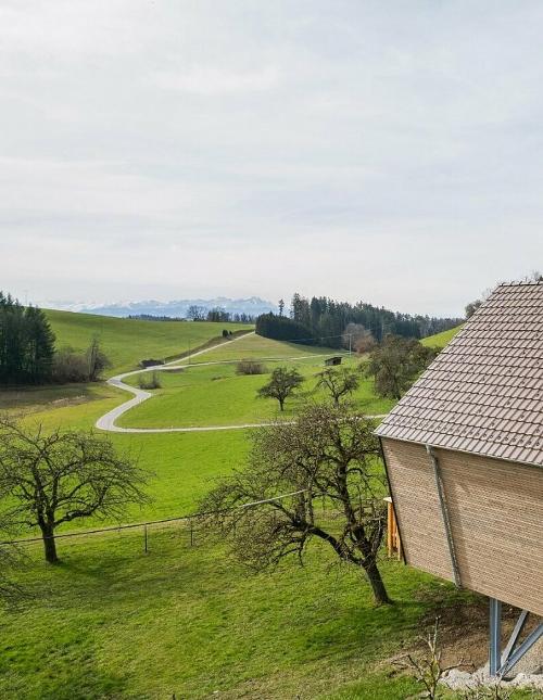 streuobst_chalets_aussicht
