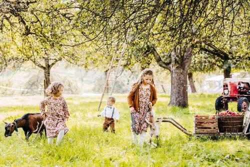 streuobst_chalets_kinder_im_garten