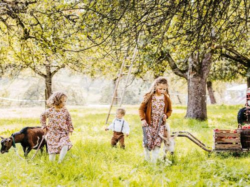 streuobst_chalets_kinder_im_garten