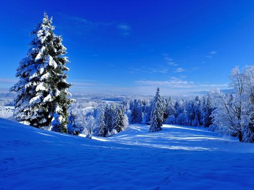 Winterlandschaft um den Hof Winterlandschaft um den Hof