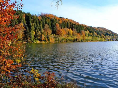 Stallauer Weiher - 15 Gehminuten Stallauer Weiher - 15 Gehminuten