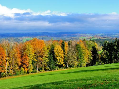 Blick ins Tal von der Hofstelle Blick ins Tal von der Hofstelle
