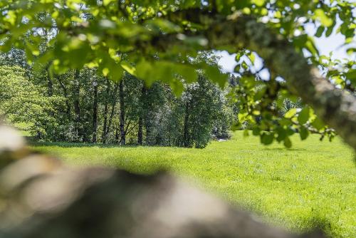 33ferienwohnungkrecu-bydannyrothe-218