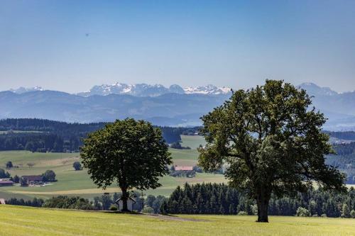 Allgäu_Bergferienhof_Roesch_Aussicht