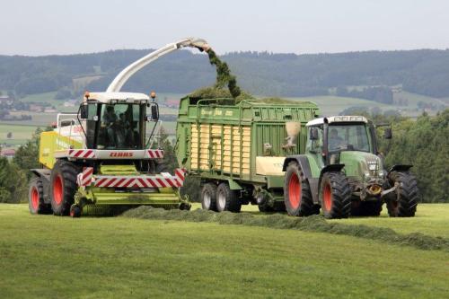 Allgäu_Bergferienhof_Roesch_Ernte